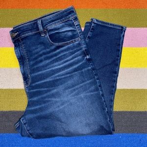 American Eagle Jeggings 22 SHORT